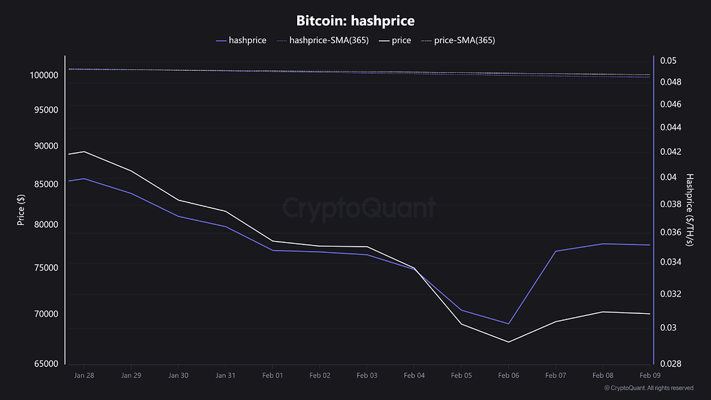 چرخش بزرگ: چگونه نهنگ‌ها تسلیم دوگانه را جذب کردند 🐋