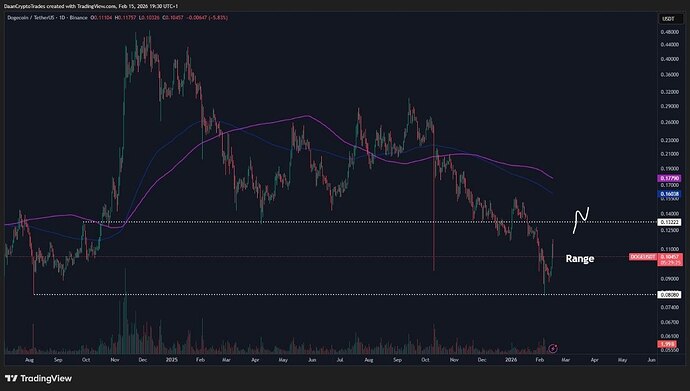 photo_2026-02-16_09-52-09