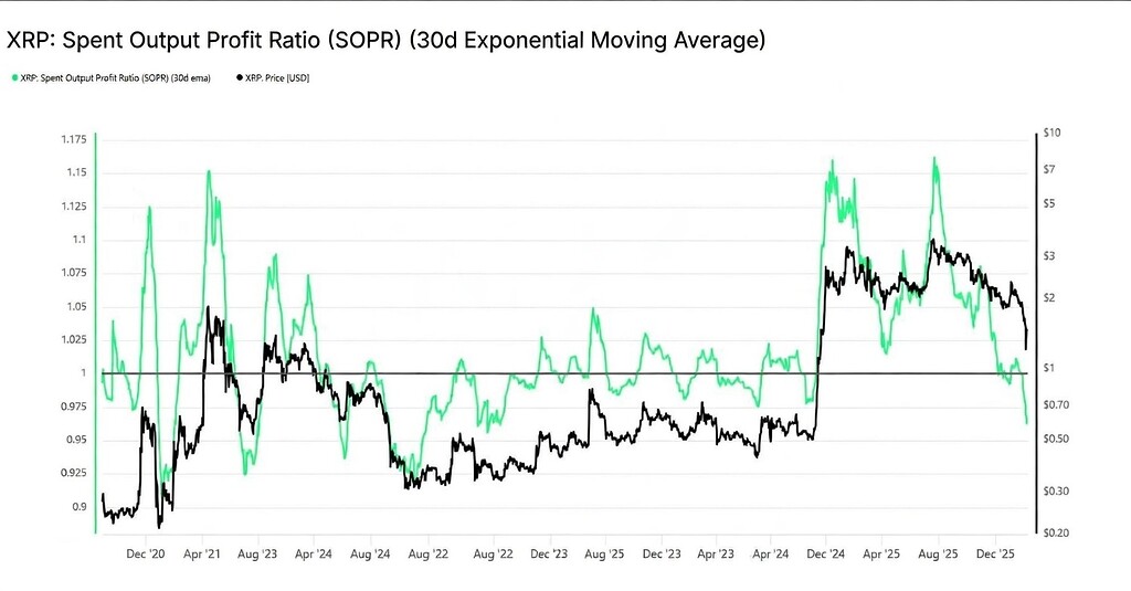 💸 ریزش شدید ریپل؛ چرا سرمایه‌گذاران با خسارت‌های هولناک مواجه شدند؟