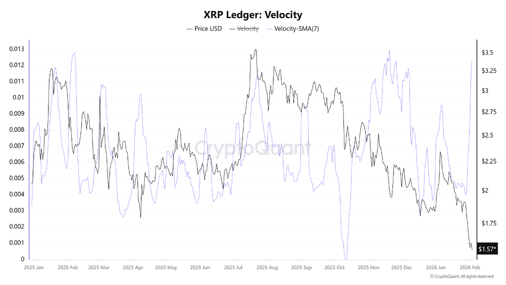 سرعت گردش xrp به اوج سالانه ۰.۰۱۳ بازگشت 📊