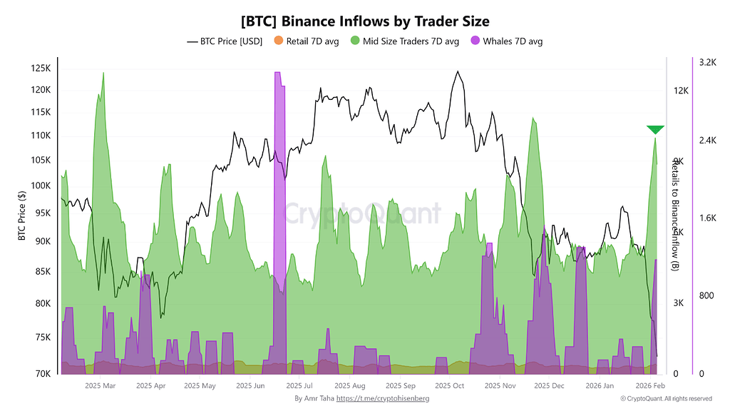 داده‌های بایننس نشون می‌ده: نهنگ‌ها و پول هوشمند در حال توزیع هستن 🐋