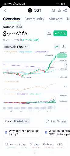آینده نات کوین: فرصت‌های پیتزایی در راه است؟ 🚀