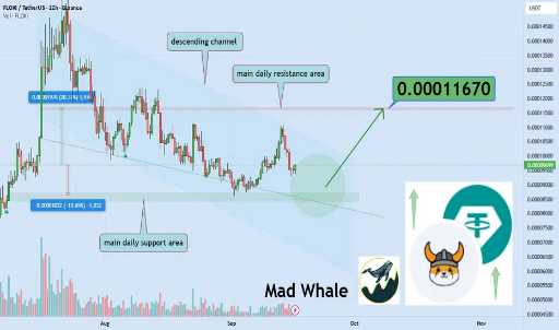 پیش‌بینی قیمت فلوکی: فرصت صعود ۲۰٪ از حمایت مهم! 📈