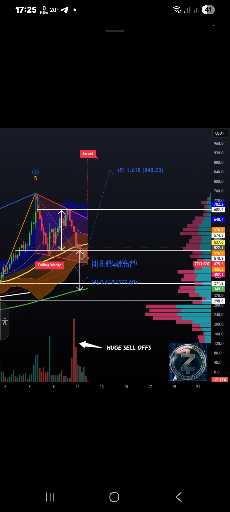 زی‌کش: اوج‌گیری ناگهانی به دلیل تمرکز بر حریم خصوصی 🚀