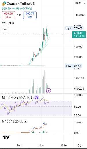 هشدار جدی به فعالان بازار ارزهای دیجیتال: کلاهبرداری‌ها و راه‌های حفظ سرمایه ⚠️