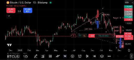 بیت‌کوین روی 91357 دلار معامله می‌شود آیا الگوی برگشتی باترفلای فعال شده