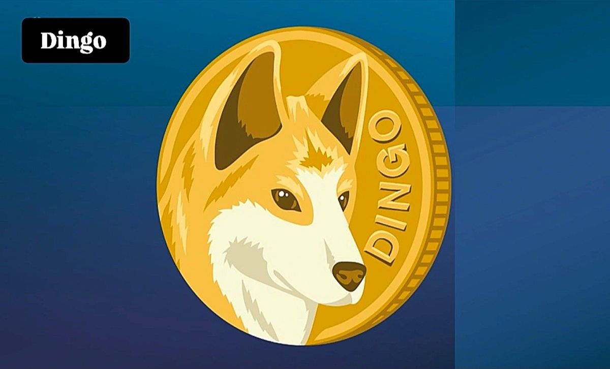 معرفی و تحلیل صعودی ارز محبوب Dingo