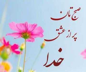 تحلیل ارز Firo: جایگزین احتمالی Zcash با پتانسیل رشد 💰