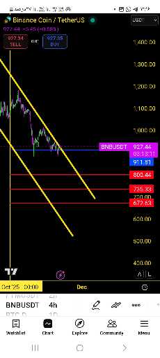 تحلیل تکنیکال ارز bnb: پیش‌بینی روند ریزش و بازگشت 📈