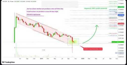 تحلیل تاثیر هوش مصنوعی تلگرام (Cocoon) بر Notcoin و اکوسیستم TON 🚀