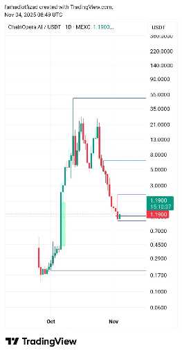 تجربه سودآوری از سرمایه‌گذاری روی کوین coai و پیش‌بینی کف قیمتی آن 📈