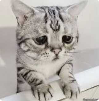 انتقاد شدید از صرافی‌های داخلی به دلیل اختلال در ریزش بازار 📈