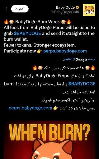 هفته توکن‌سوزی BabyDoge: اکوسیستم قوی‌تر با توکن‌های کمتر 🔥
