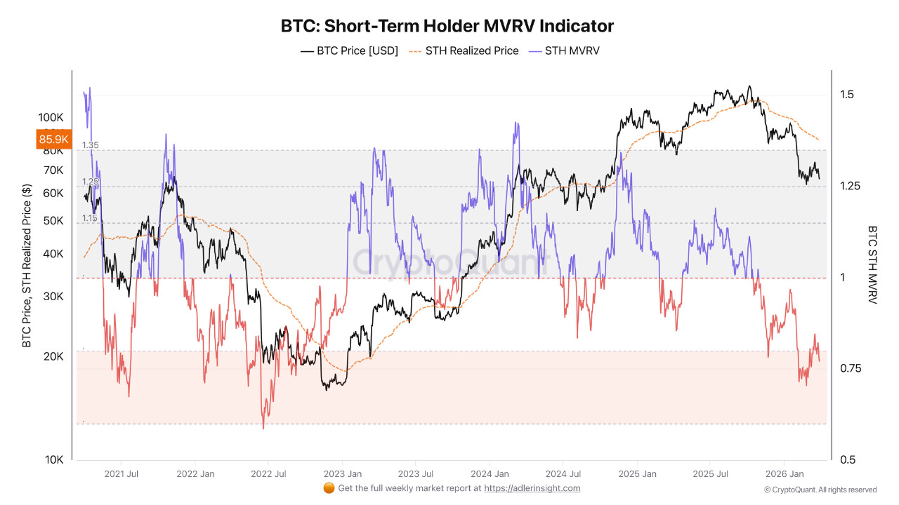 تصویر تحلیل شاخص sth mvrv در سطوح بازار نزولی 📉