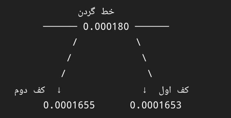 تحلیل تکنیکال همستر: تشکیل الگوی کف دوقلو و احتمال شروع روند صعودی 🐹