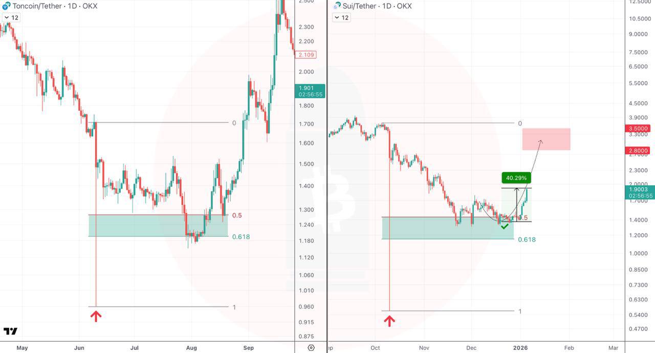 تحلیل قیمت sui و ton: پیش‌بینی بهبود در ناحیه فیبوناچی