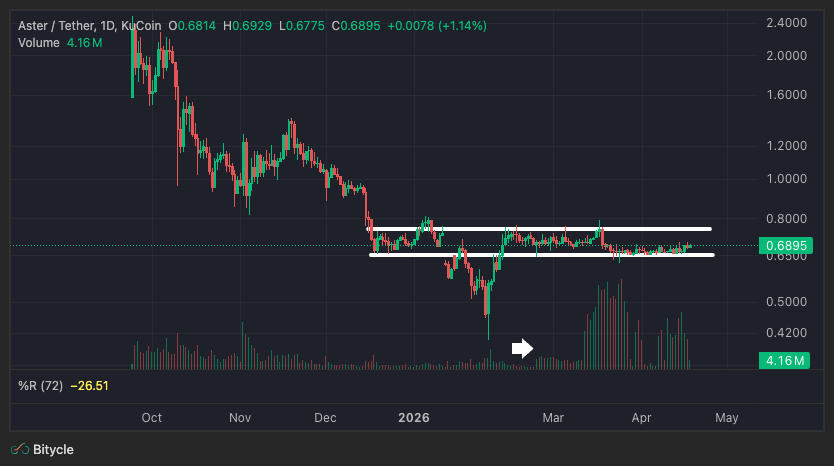 زیبای خفته: Aster