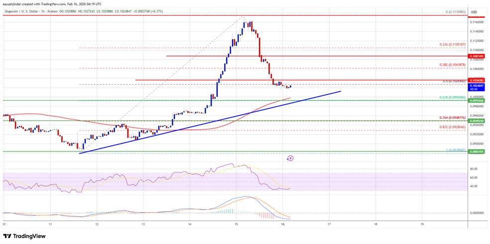 تحلیل دوج کوین میان مدت