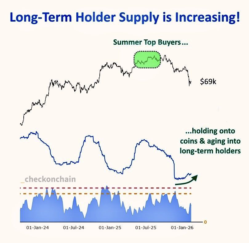 تحلیل وضعیت بیت‌کوین: ادامۀ دامپ یا ادامه خرید lth؟
