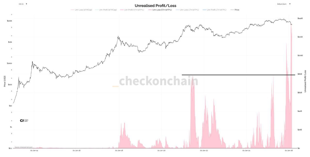 💥 چرا هولدرهای کوتاه‌مدت بیت‌کوین در شرایط جدید دچار ضرر می‌شوند⁉️