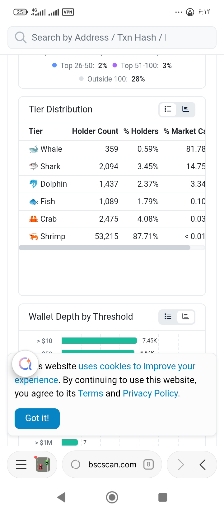 تحلیل وضعیت نهنگ‌ها و چشم‌انداز رشد این ارز دیجیتال 🚀